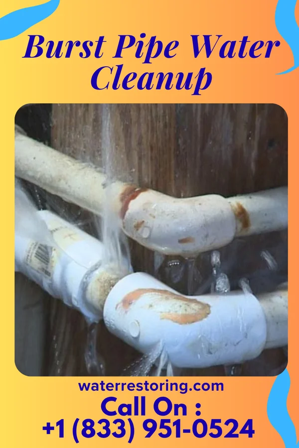 Burst Pipe Water Cleanup in Fairview, NC