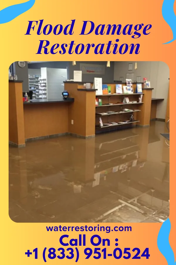 Flood Damage Restoration in Fairview, NC