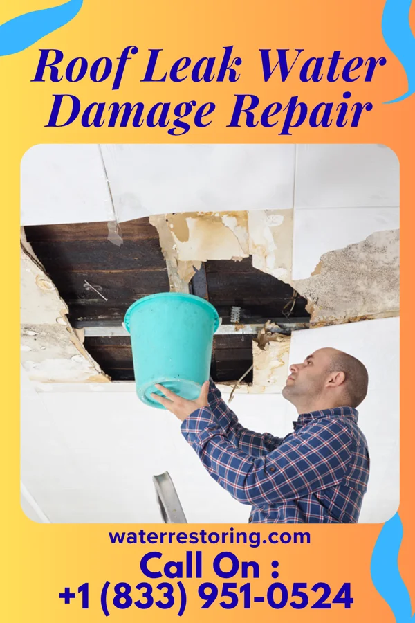 Roof Leak Water Damage Repair in Fairview, NC