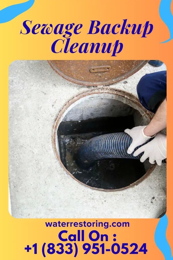 Sewage Backup Cleanup in Fairview, NC