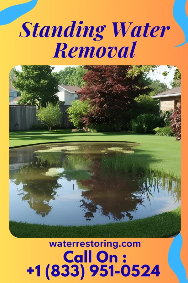 Standing Water Removal in Fairview, NC